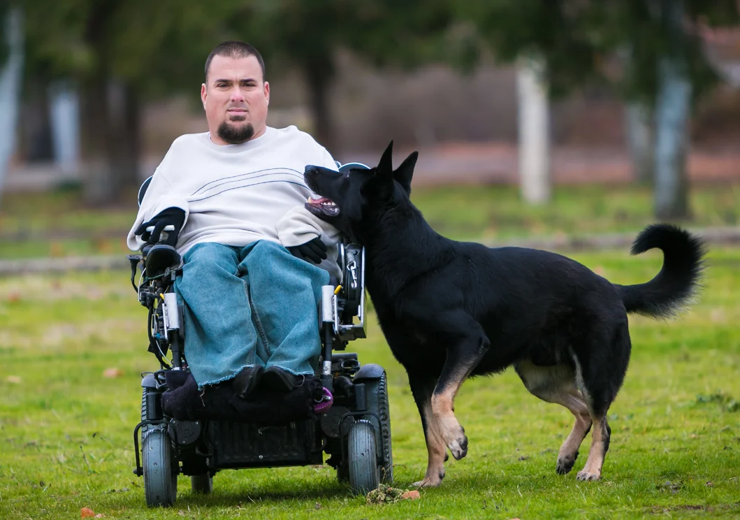 Dog training in Medford Oregon jason lake