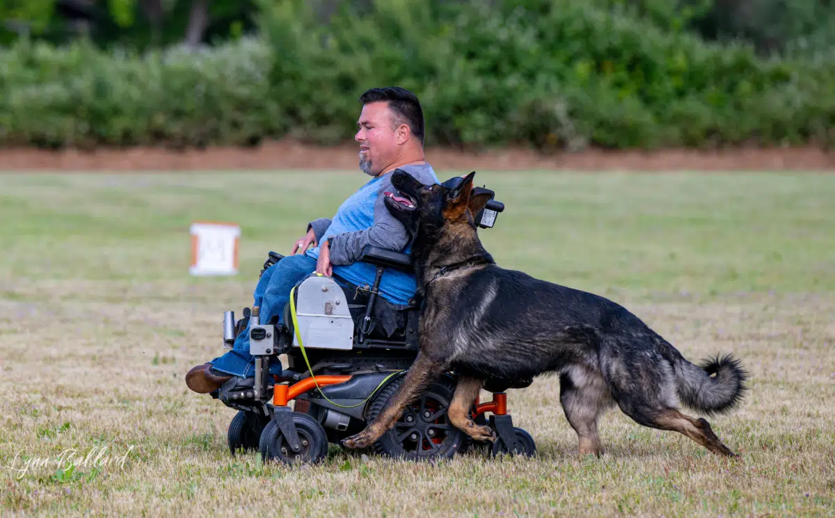 virtual dog training consultation 08